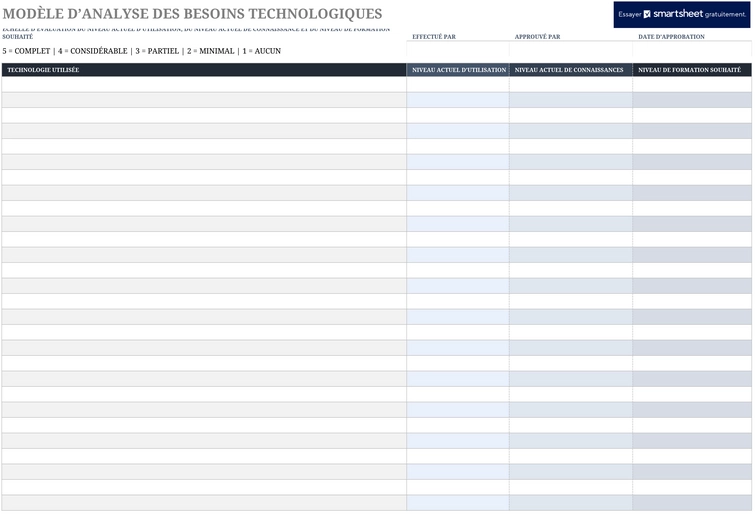 analyse-besoins-technologiques-organisationnel