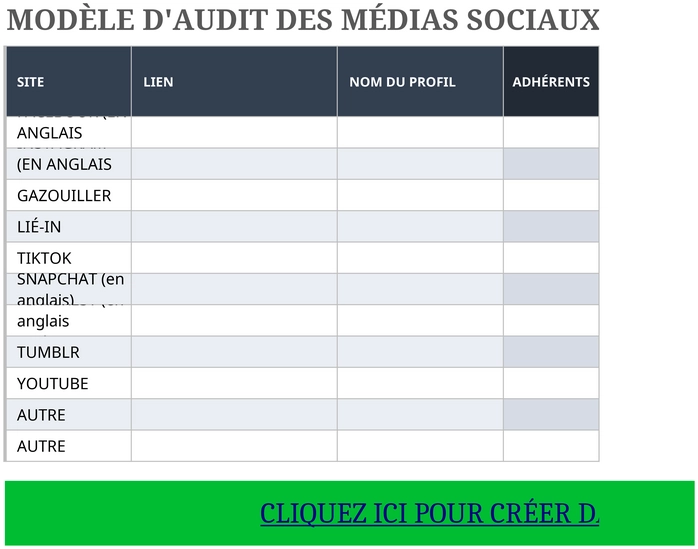 audit-medias-sociaux-modele-excel