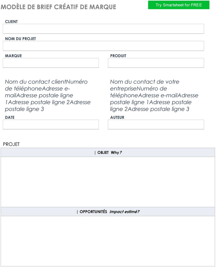 brief-campagne-marketing-structure