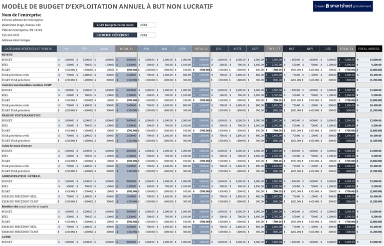 budget-annuel-organisations-but-non-lucratif