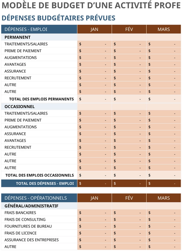 budget-professionnel-entreprise-model