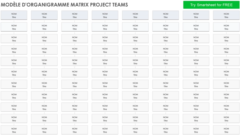 diagramme-organisationnel-equipes-projet
