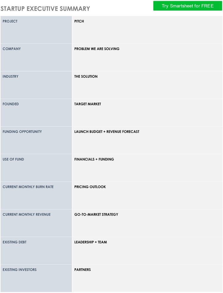 ic-startup-executive-summary-modele-resume-executif