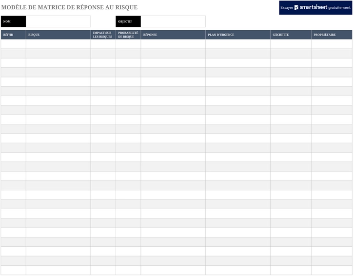 matrice-reponse-risques-excel-structure-informatique