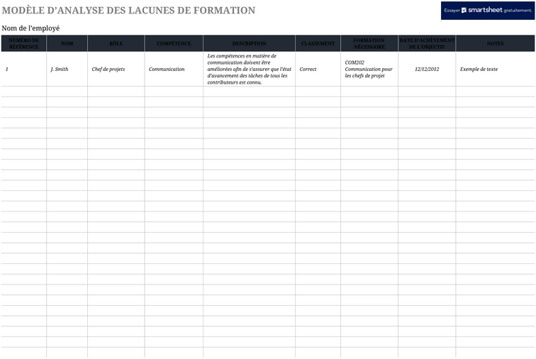 modele-analyse-lacunes-formation-planification
