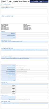 modele-brief-marketing-client-organisation-excel