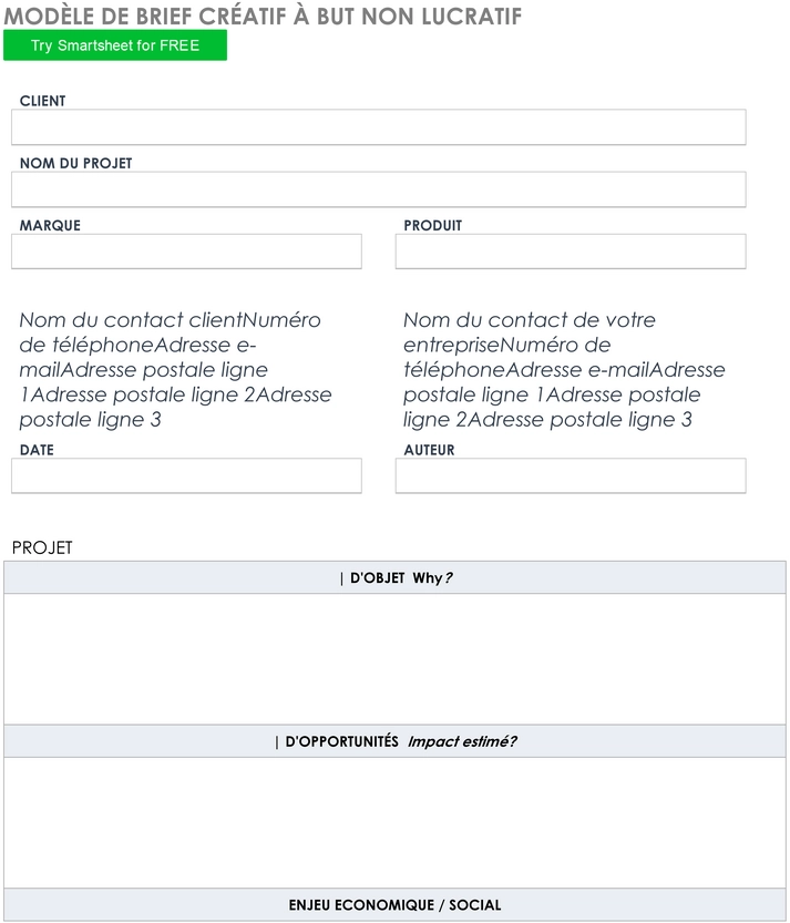 modele-brief-optimise-projet-creative