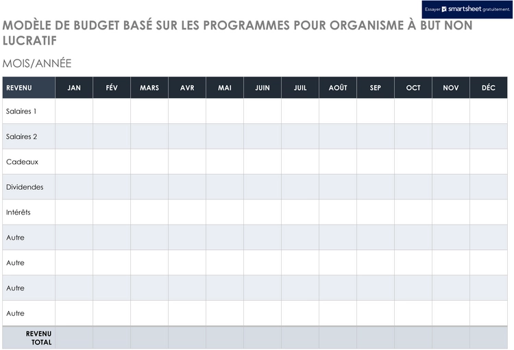 modele-budget-organisation-non-lucrative-projet