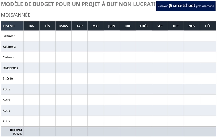 modele-budget-projets-a-but-non-lucratif