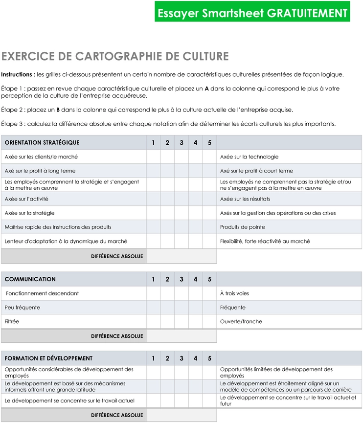 modele-cartographie-culturelle-word