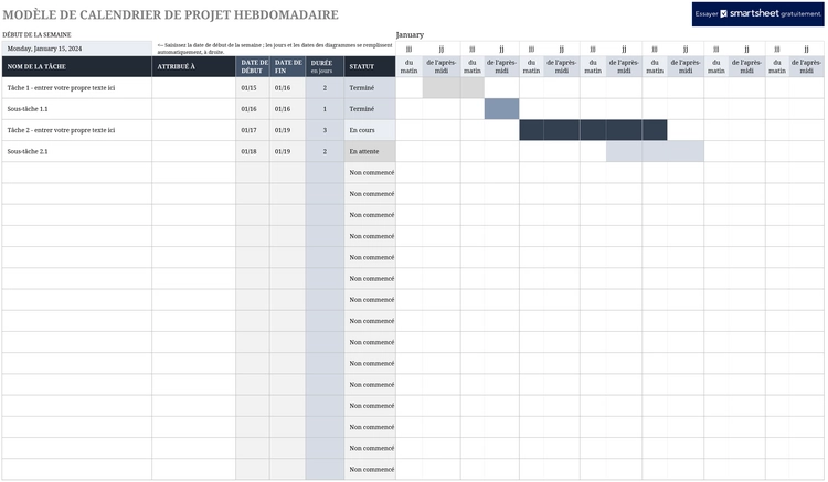 modele-chronologie-hebdomadaire-gestion-projets