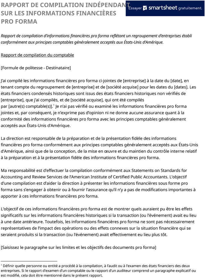 modele-cv-professionnel-formation-competences-utilisation