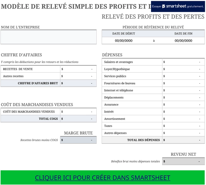 modele-declaration-profits-pertes-gestion-financiere