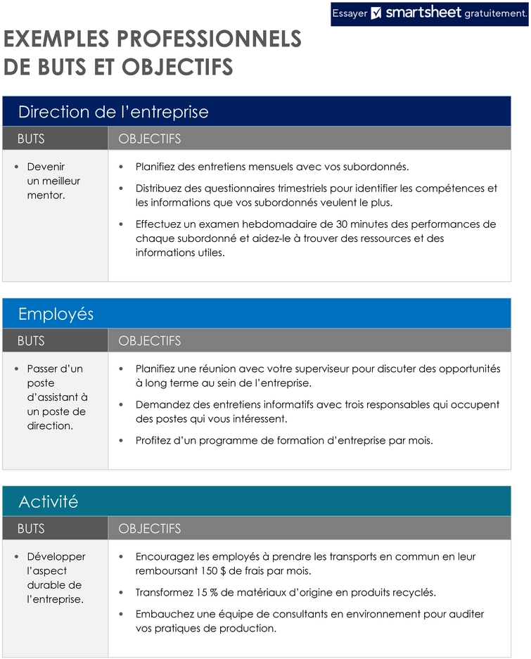 modele-definition-objectifs-personnels-et-professionnels