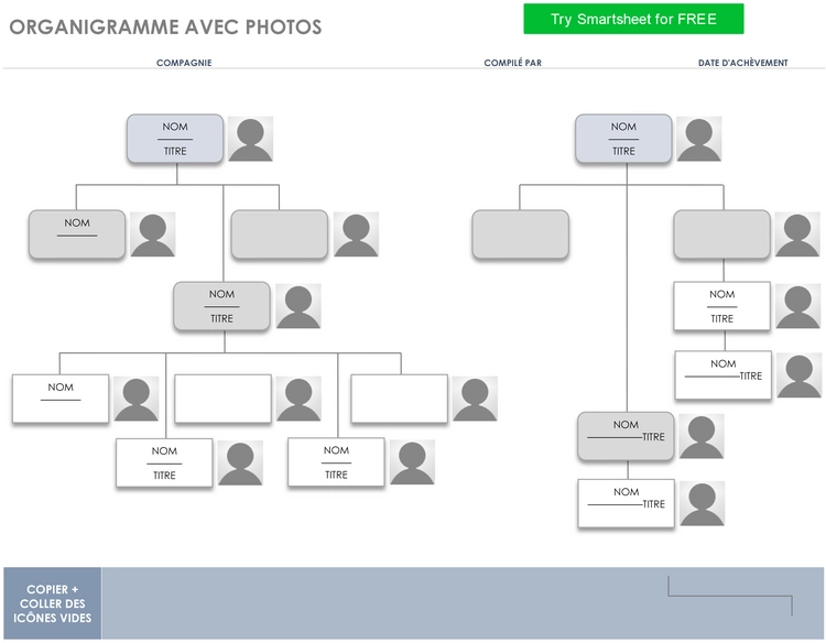 modele-diagramme-organisationnel-attrayant