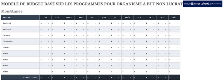 modele-excel-budget-programmes-but-non-lucratif