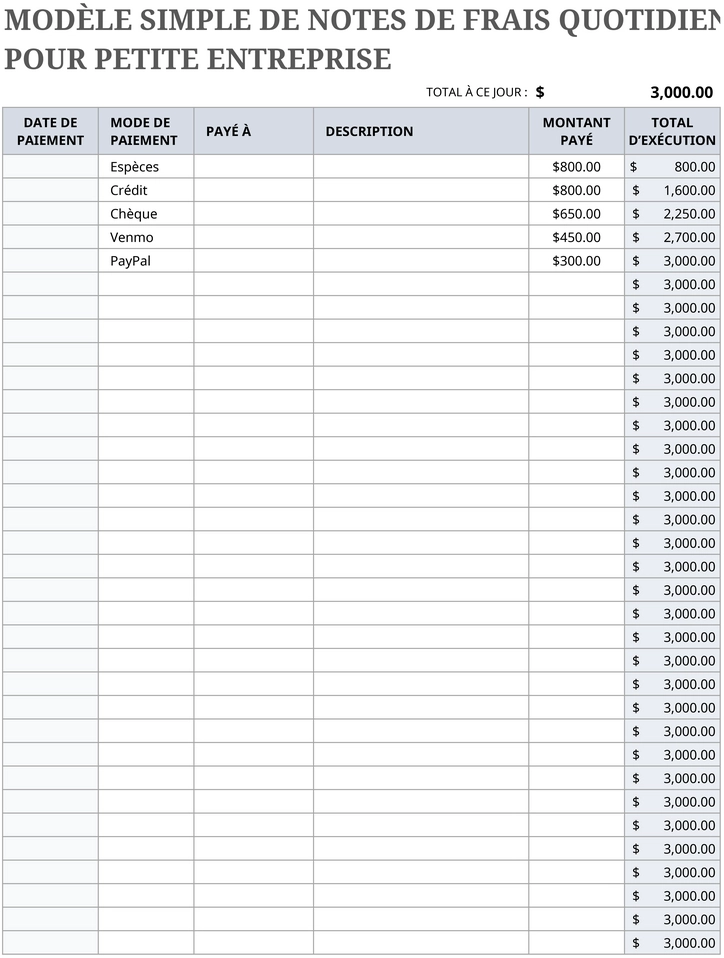 modele-excel-rapport-de-depenses-quotiiennes-petites-entreprises