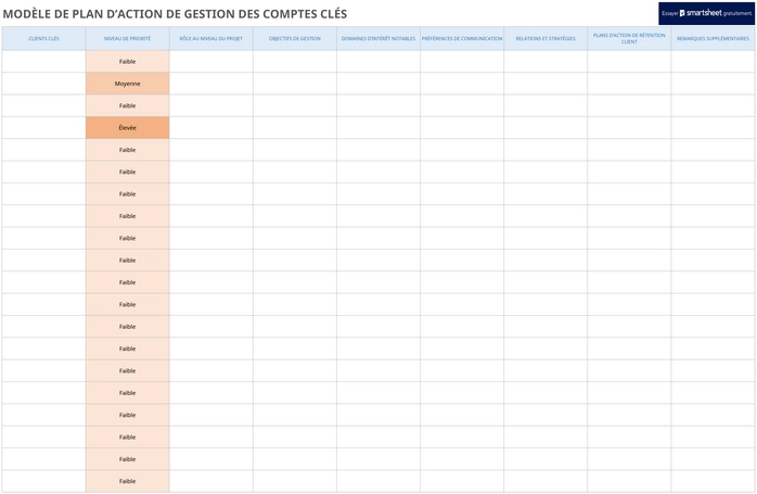 modele-gestion-comptes-cles-action-plan