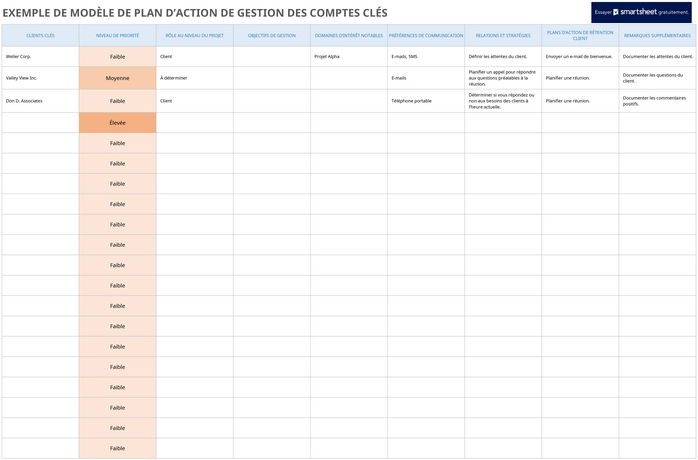 modele-gestion-comptes-cles-plan-action-excel