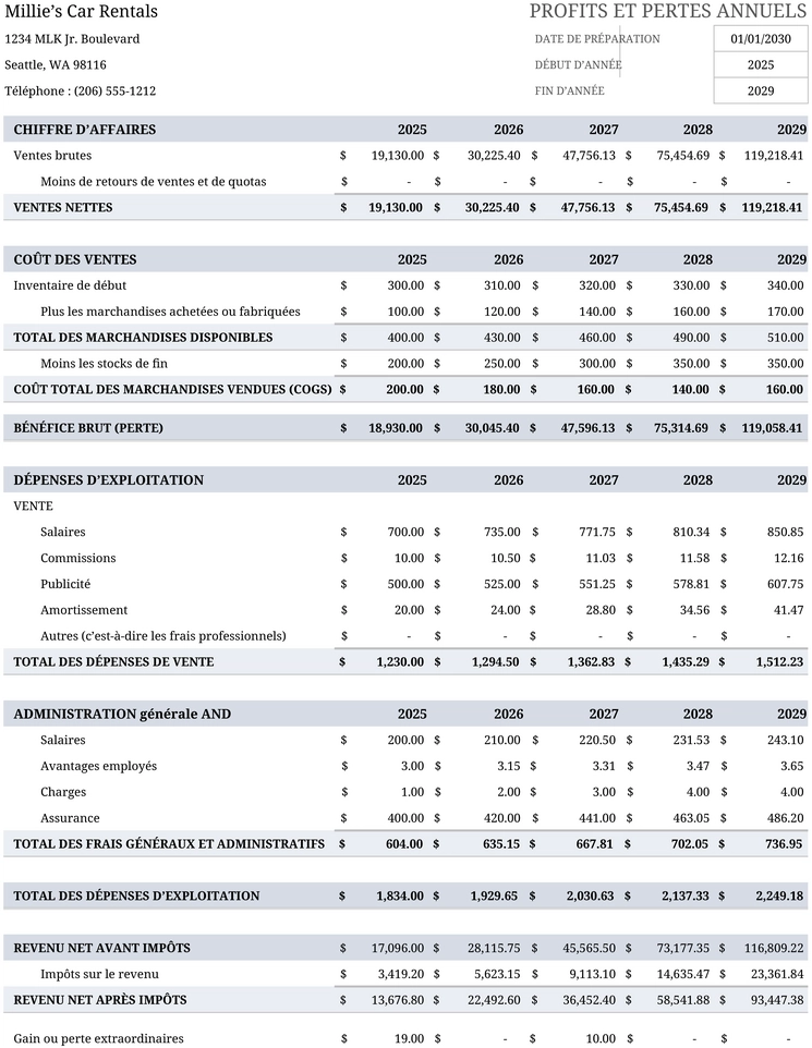 modele-gestion-profits-pertes-annuels