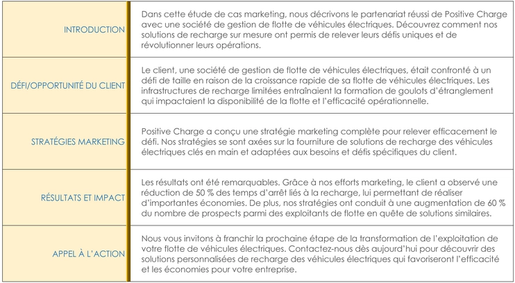 modele-pdf-gestion-de-projets-rapports-processus