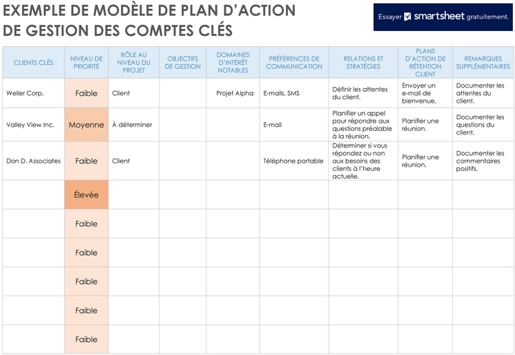 modele-plan-action-gestion-comptes-cles