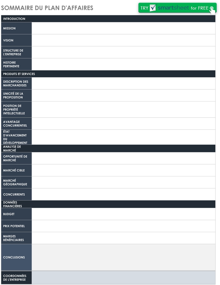modele-plan-affaires-resume-executif