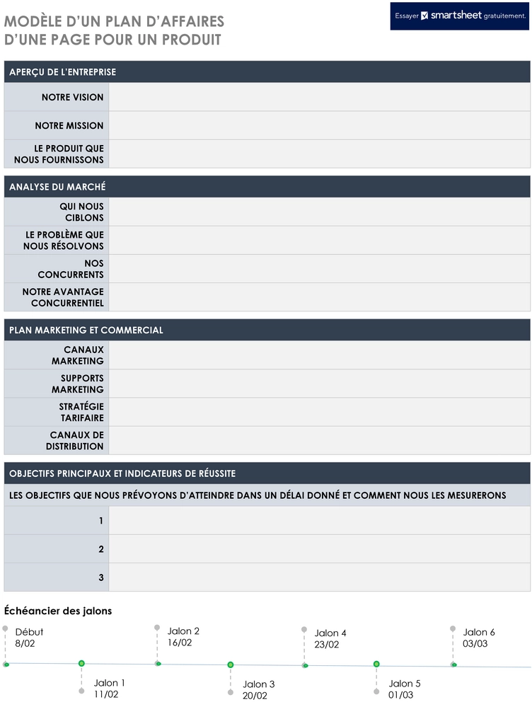 modele-plan-affaires-structure-organisee