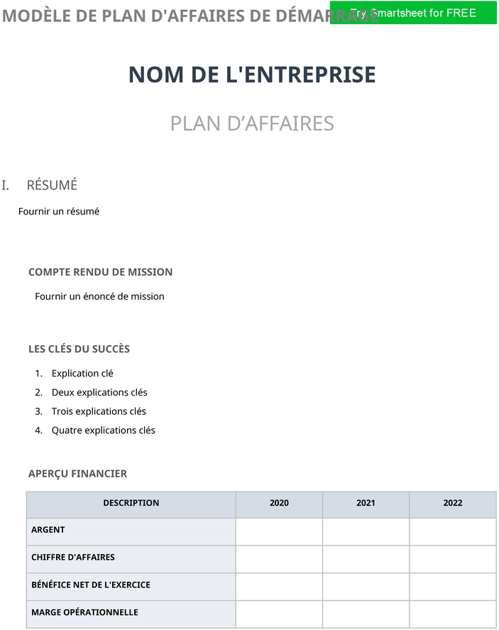 modele-plan-affaires-word