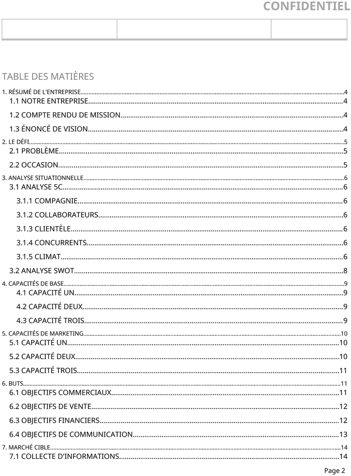 modele-plan-marketing-organisation-entreprise