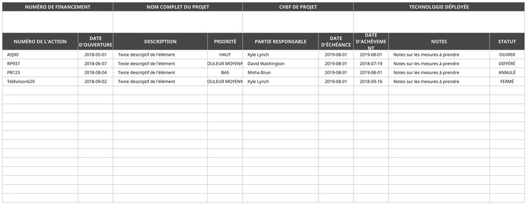 modele-plan-mise-en-oeuvre-projet