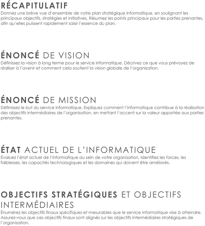 modele-plan-strategique-informatique