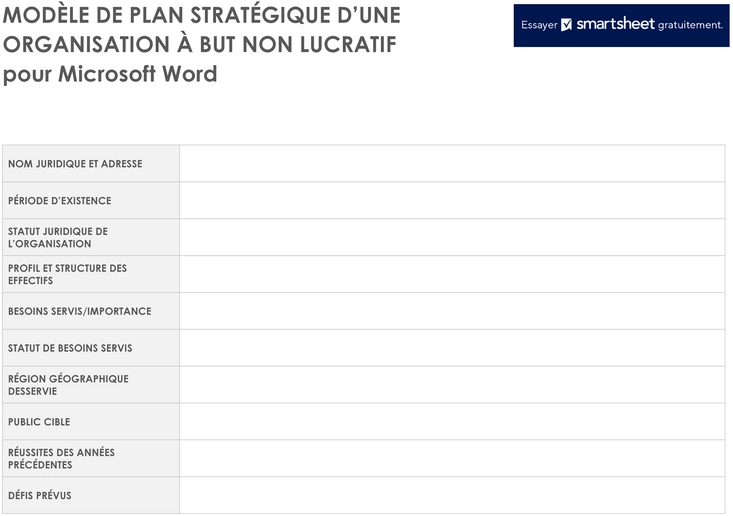 modele-plan-strategique-non-lucratif-organisation-type