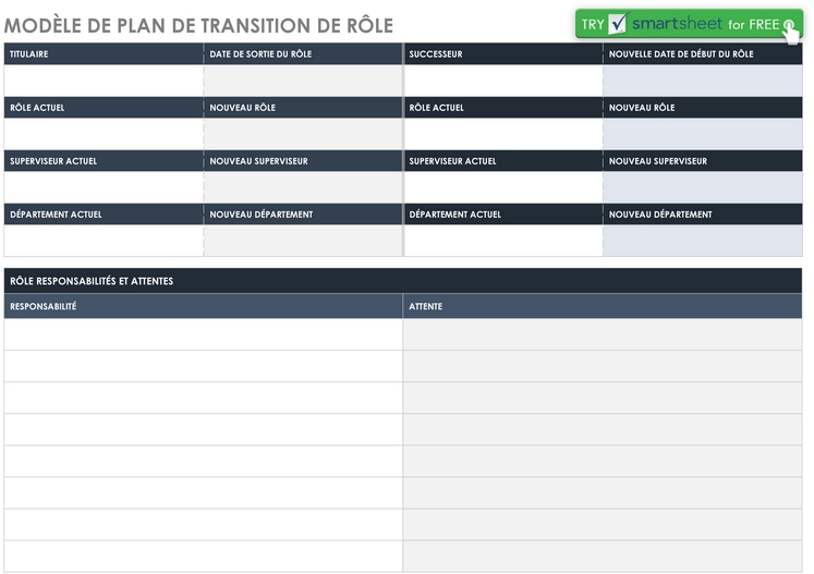 modele-plan-transition-role-organisation-efficace