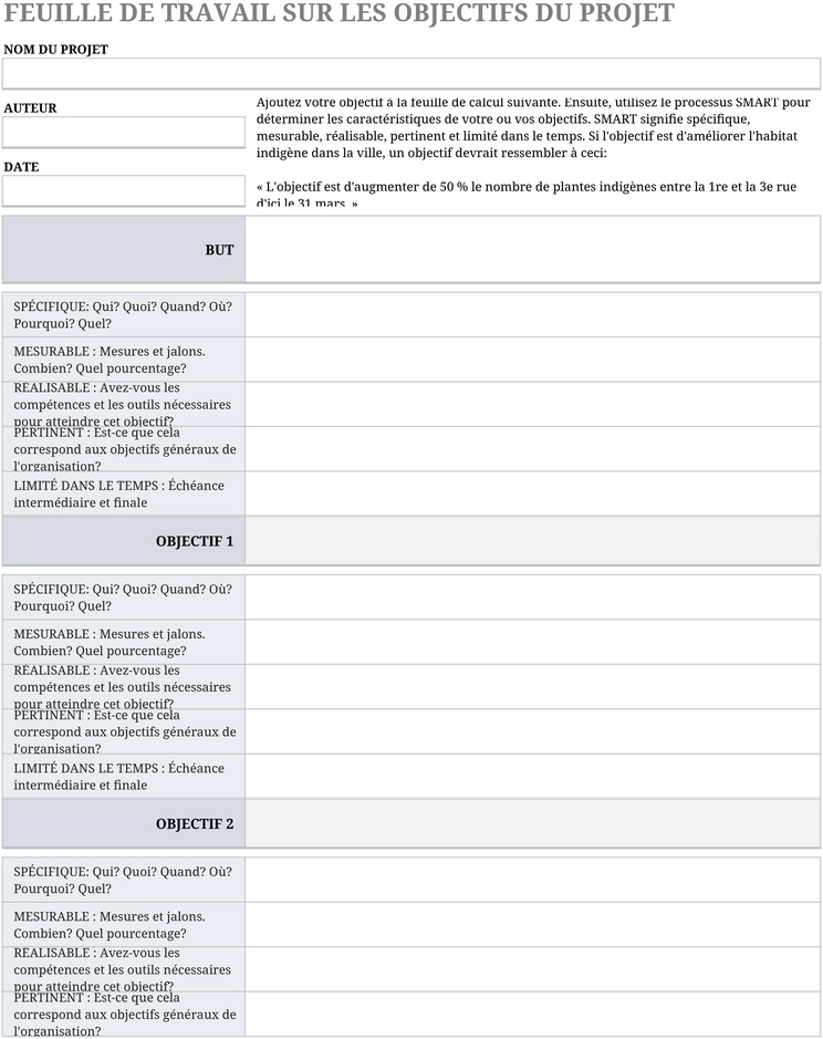 modele-planification-objectifs-projet