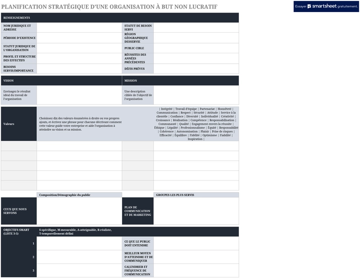 modele-planification-strategique-non-profit