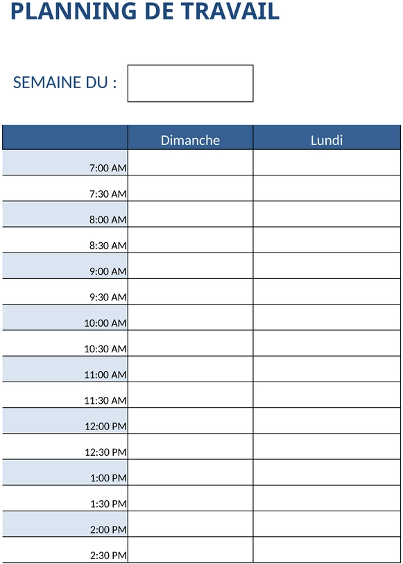 modele-planification-travail-organisation-temps