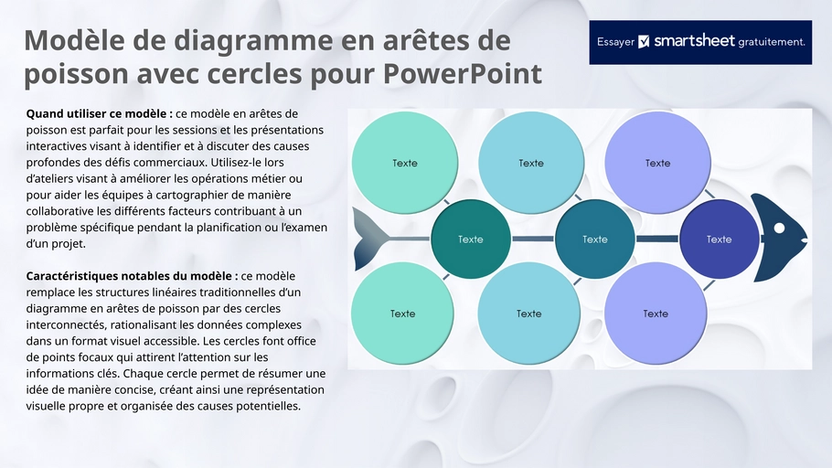 modele-powerpoint-diagramme-ishikawa-analyse-gestion-projet
