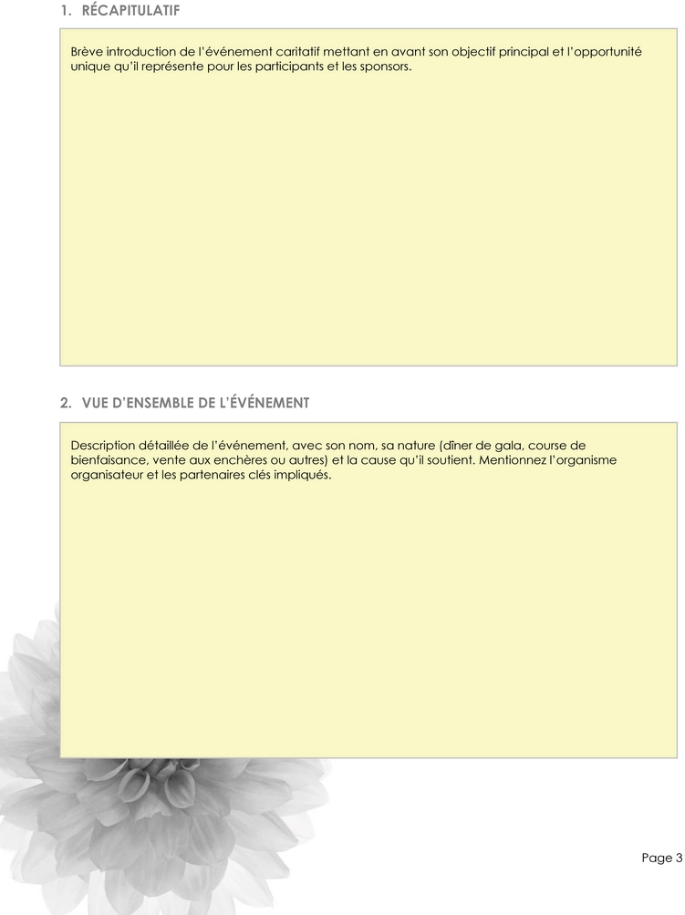 modele-proposition-evenement-caritatif