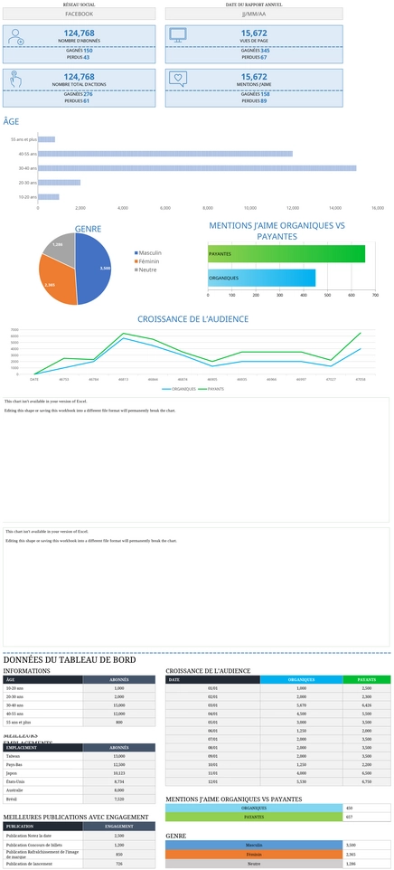 modele-rapport-annuel-reseaux-sociaux-excel