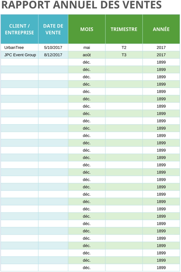 modele-rapport-annuel-ventes-analyse-financiere