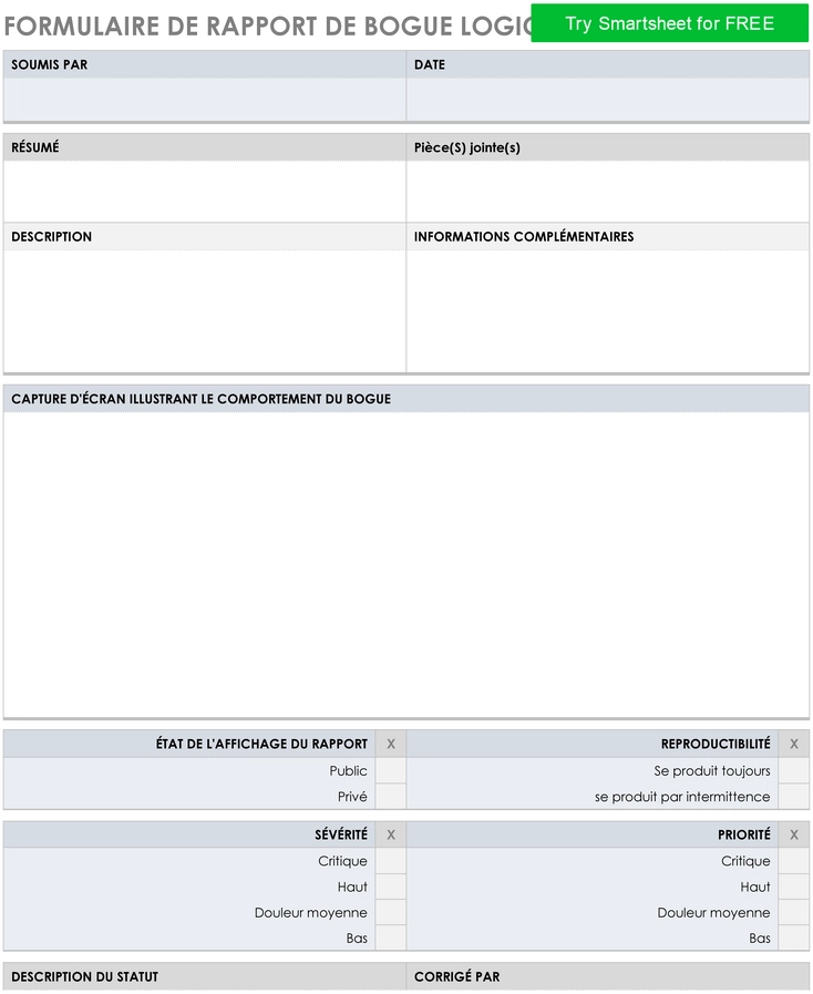 modele-rapport-bug-developpement-logiciel
