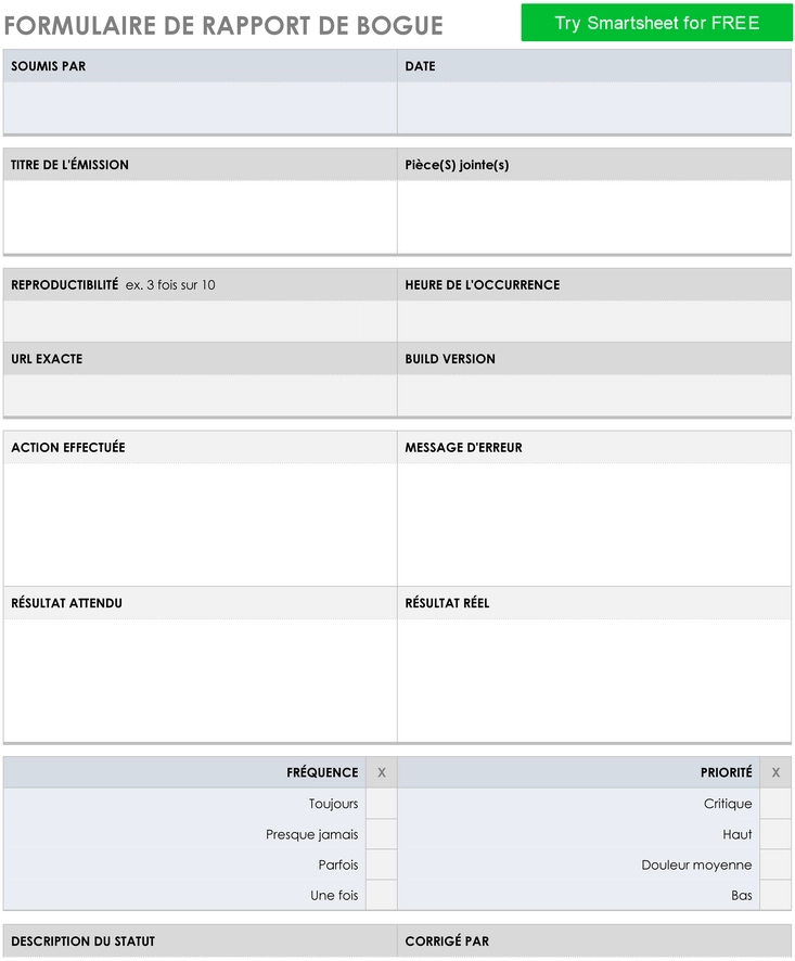 modele-rapport-bug-organisation-documentation