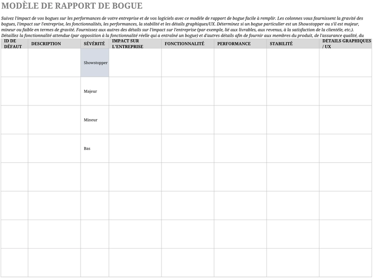 modele-rapport-bugs-gestion-projets