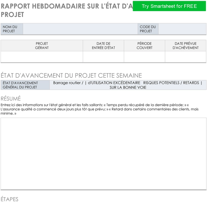 modele-rapport-hebdomadaire-statut-projet