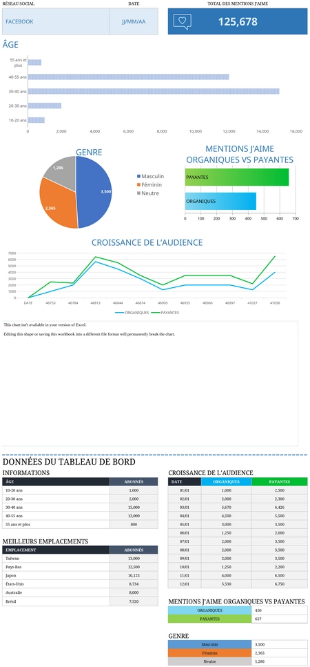 modele-rapport-reseaux-sociaux-gestion-performance