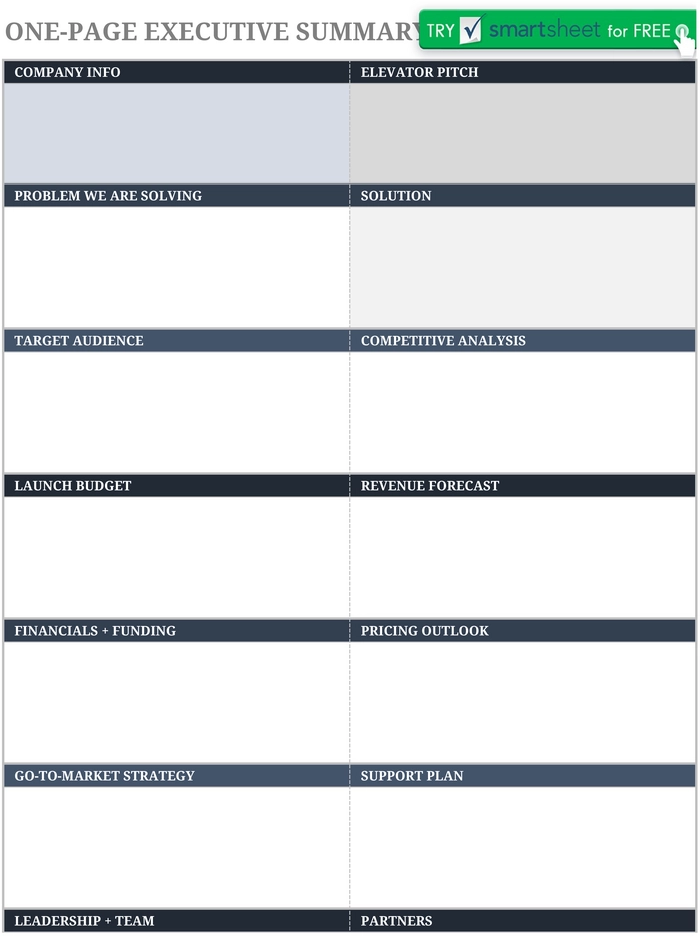 modele-resume-executif-analyse-donnees