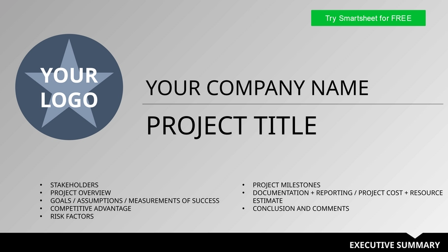modele-resume-executif-powerpoint