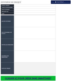 modele-resume-executif-projet-organisation-gestion