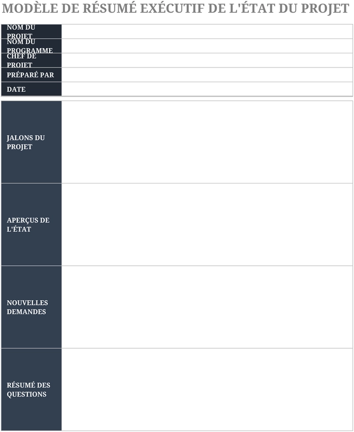 modele-suit-de-projet-executive-summary